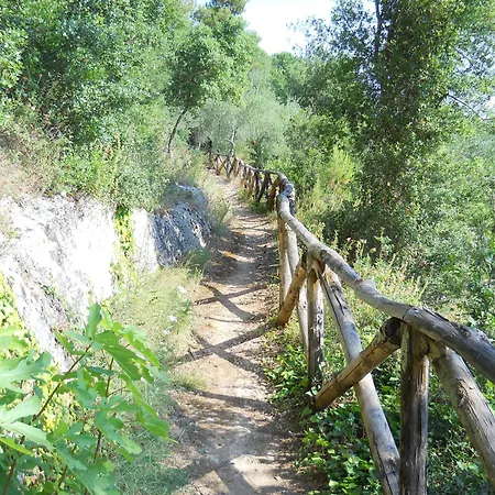 Casine Di Corte